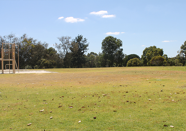 grassed area with tall trees at edge and children's play round