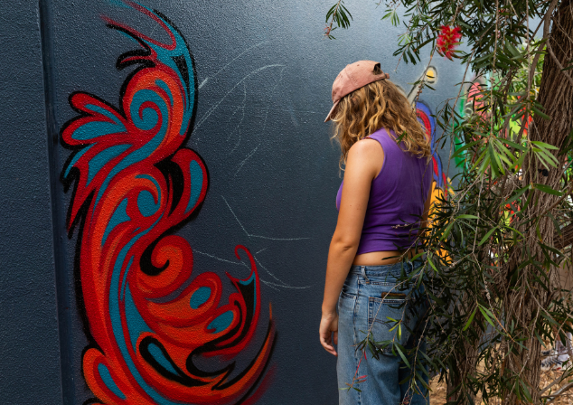 phaze urban art program