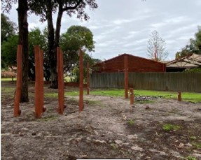 sandy and grasses area with wooden stumps