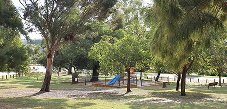 Sid-Eaton-Park.jpg
