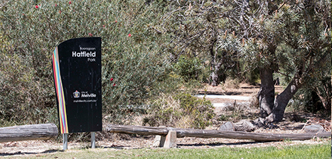 Hatfield-Park.jpg