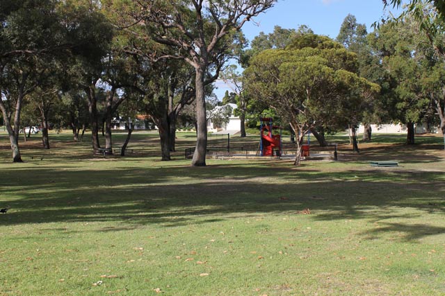 Picture of grass area. Trees in background