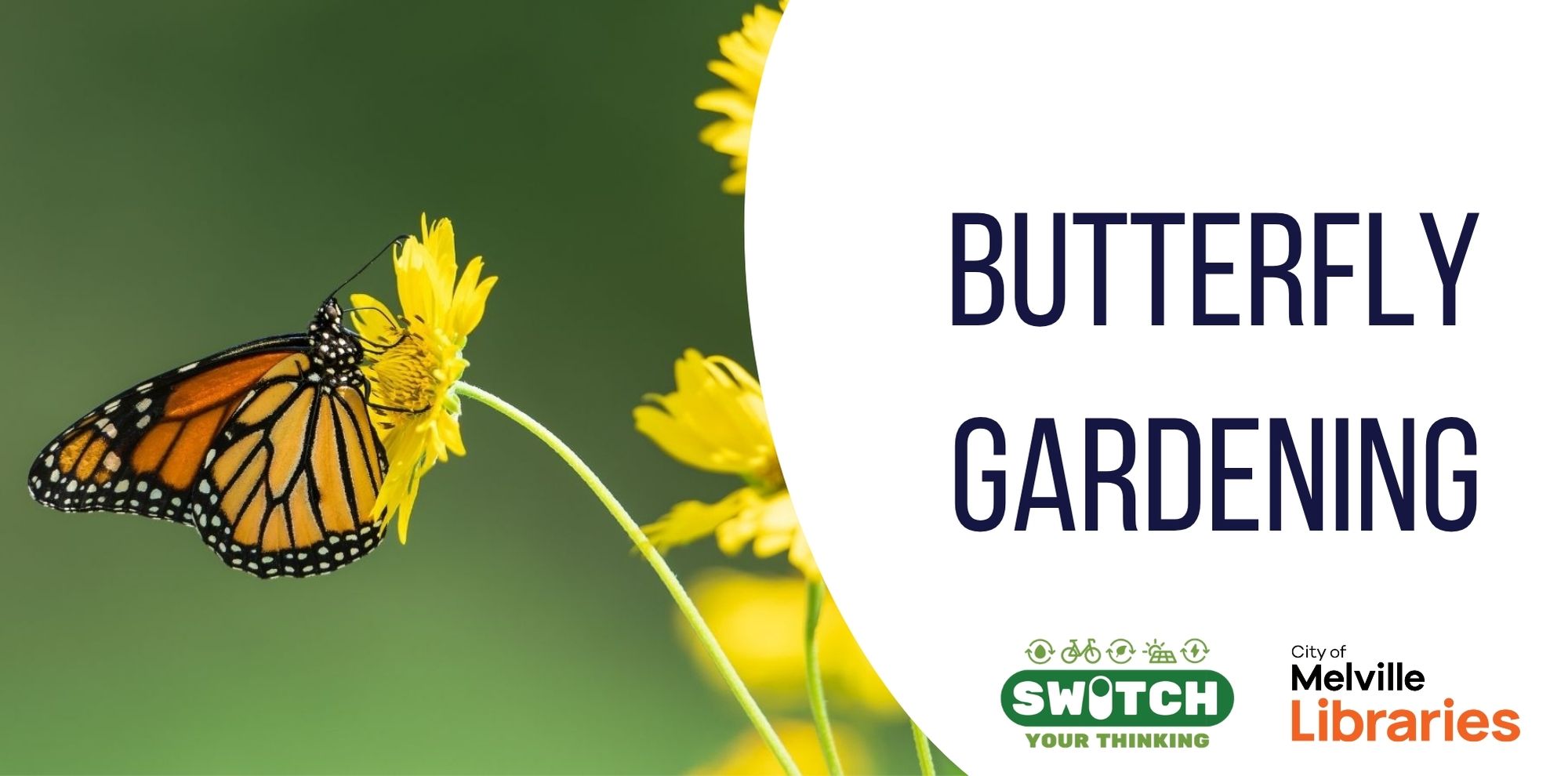 Butterfly gardening