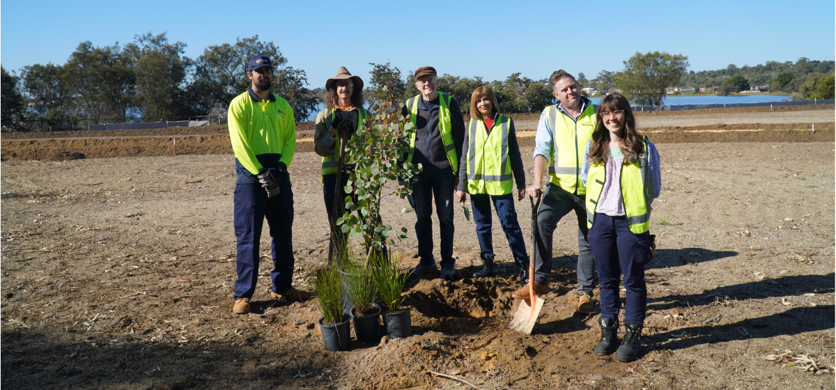 Image of City staff and community members planting a tree and natives