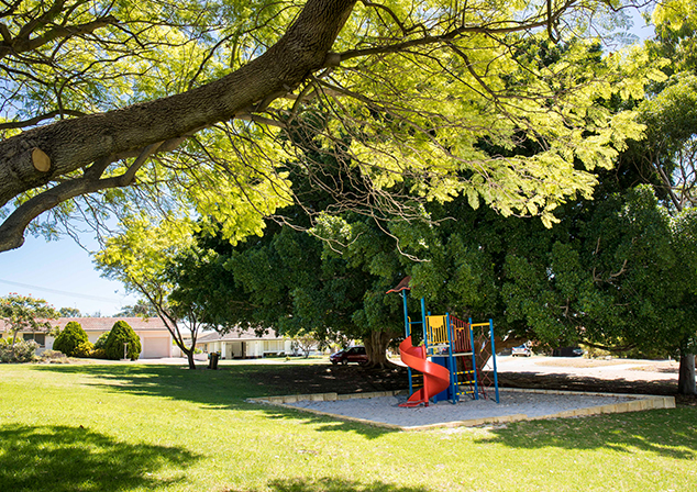 Grassed area with tall trees and children's playground 
