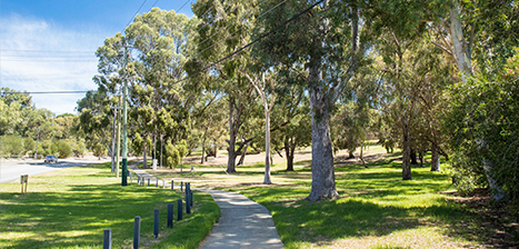 Richard-Angeloni-Park_1.jpg