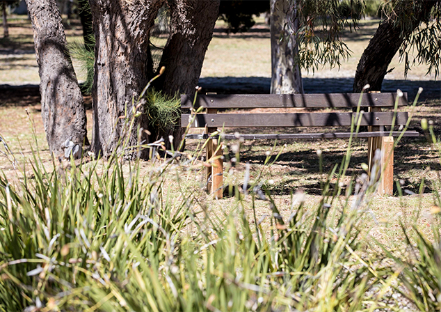 Park bench surrounded by grass and trees