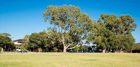 Rob-Campbell-Reserve_1.jpg