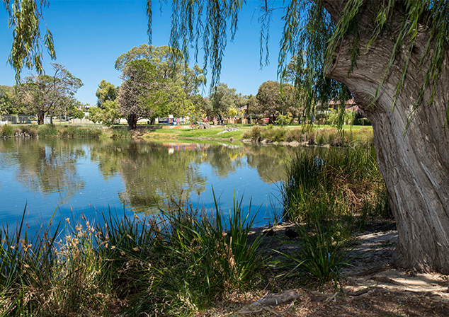 Lake with tall trees and grassed area surrounding lakes' edge