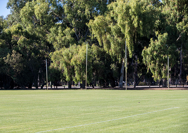 photo of football goal posts at Beasley Park