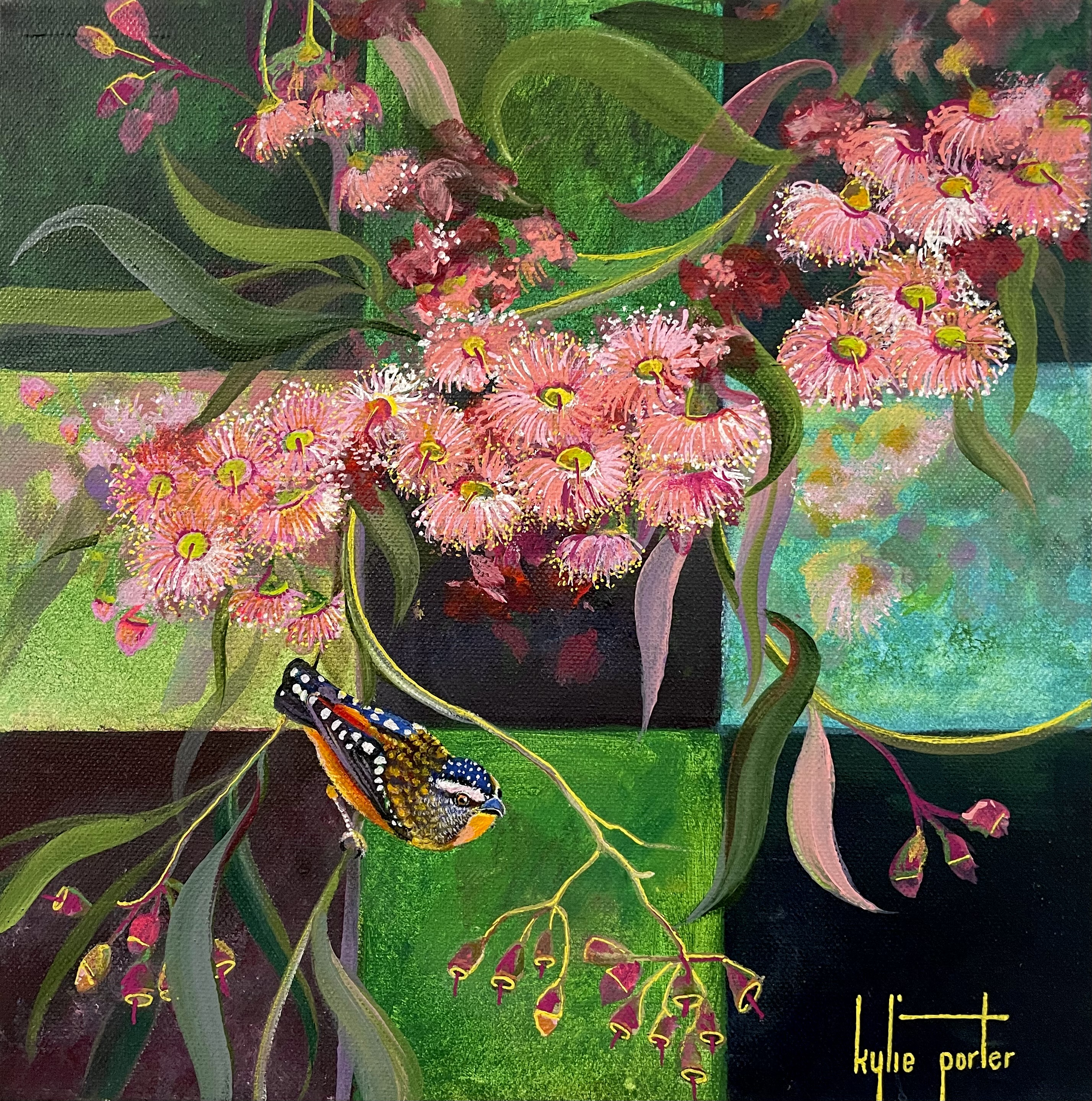 painting of an australian native plant