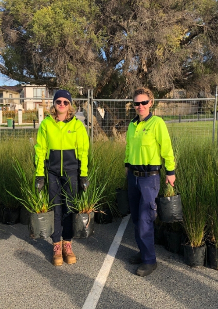 Image of two City of Melville staff planting in our natural areas
