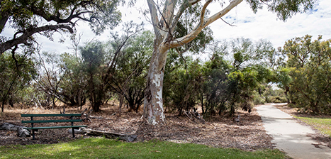 Fred-Johnson-Park_1.jpg